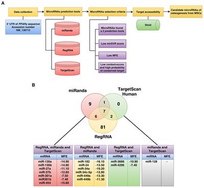 miR-130a and miR-27b Enhance Osteogenesis in Human Bone Marrow Mesenchymal Stem Cells via Specific Down-Regulation of Peroxisome Proliferator-Activated Receptor γ